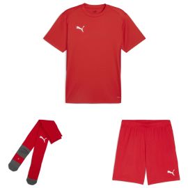 Puma teamGoal Trikotsatz Herren Damen 3-teilig Fussball Trikot Shorts Core Sockenstutzen