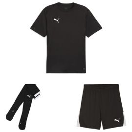 Puma teamGoal Trikotsatz Kinder 3-teilig Fussball Trikot Shorts Sockenstutzen