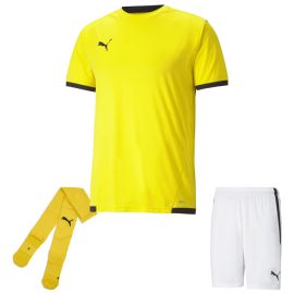 Puma Trikotsatz Team Liga Herren Damen 3-teilig Fussball Trikot Fussballshort Sockenstutzen