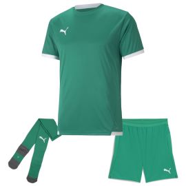Puma Trikotsatz Team Liga Herren Damen 3-teilig Fussball Trikot Short Core Sockenstutzen