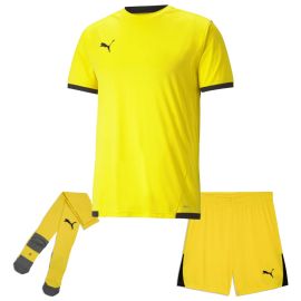 Puma Trikotsatz Team Liga Herren Damen 3-teilig Fussball Trikot Shorts Core Sockenstutzen