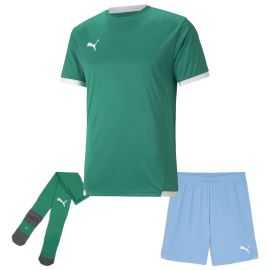 Puma Trikotsatz Team Liga Kinder 3-teilig Fussball Trikot Shorts Core Sockenstutzen
