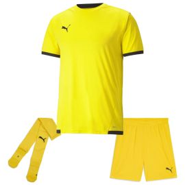 Puma Trikotsatz Team Liga Herren Damen 3-teilig Fussball Trikot Shorts Sockenstutzen
