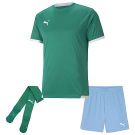 Puma Trikotsatz Team Liga Kinder 3-teilig Fussball Trikot Shorts Sockenstutzen