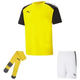 Puma Trikotsatz Team Pacer Herren Damen 3-teilig Fussball Trikot Fussballshort Core Sockenstutzen