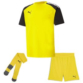 Puma Trikotsatz Team Pacer Herren Damen 3-teilig Fussball Trikot Short Core Sockenstutzen
