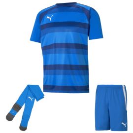 Puma Trikotsatz Team Vision Herren Damen 3-teilig Fussball Trikot Fussballshort Core Sockenstutzen