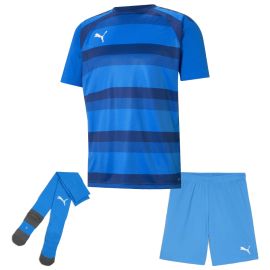 Puma Trikotsatz Team Vision Herren Damen 3-teilig Fussball Trikot Shorts Core Sockenstutzen