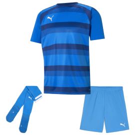 Puma Trikotsatz Team Vision Herren Damen 3-teilig Fussball Trikot Shorts Sockenstutzen