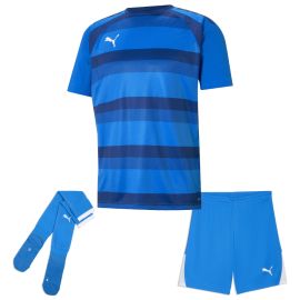 Puma Trikotsatz Team Vision Herren Damen 3-teilig Fussball Trikot Shorts Sockenstutzen