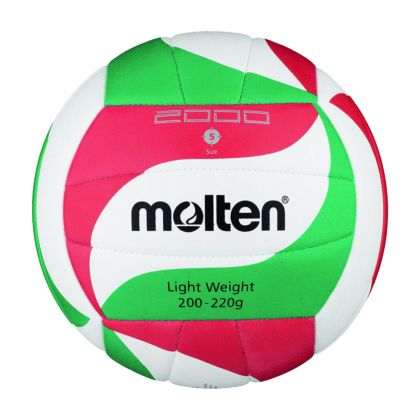 Molten Volleyball