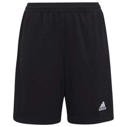 Fortuna Unterhaching Trainingshorts 23/24