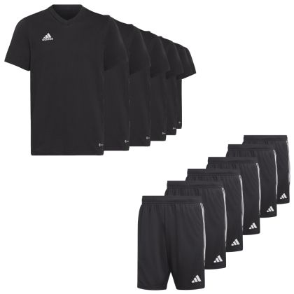 adidas Entrada 22 Fussball Shirt Satz