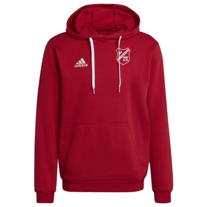 SV Alfhausen Hoody  23/24