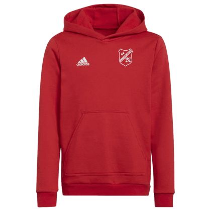 SV Alfhausen Hoody  23/24