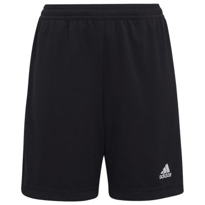 Tiroler FV Schiedsrichter Trainingshorts 2024/2025