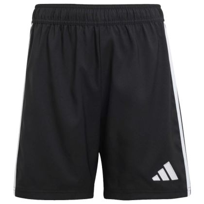 Grün-Weiß Schwagstorf Shorts 2025/2026