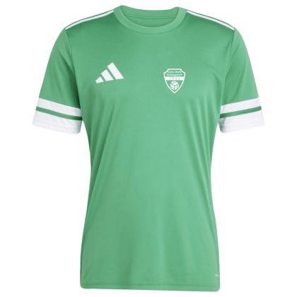 Grün-Weiß Schwagstorf Fußball Trikot 2025/2026