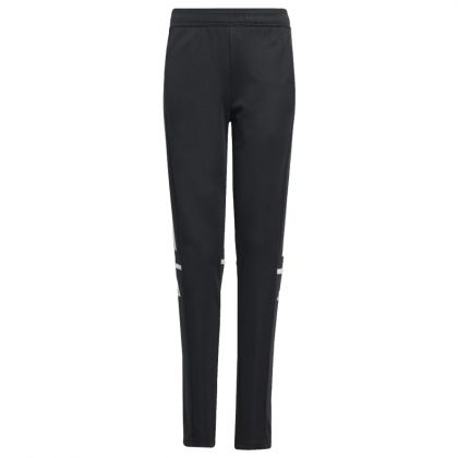 Tiroler FV Schiedsrichter Trainingshose 2024/2025