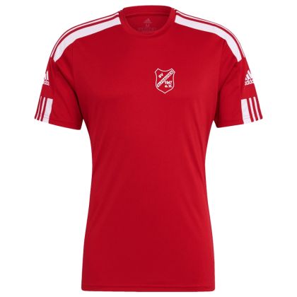 SV Alfhausen Fussball Trikot Squdra 23/24