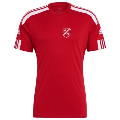 SV Alfhausen Fussball Trikot Squdra 23/24