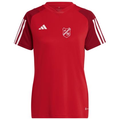 SV Alfhausen Fussball Trikot 23/24