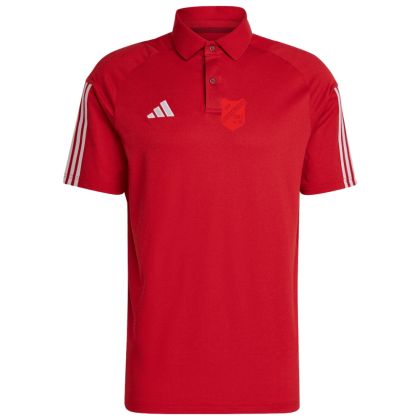SV Alfhausen Poloshirt 23/24
