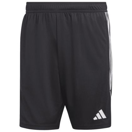 SV Alfhausen Trainingsshort  23/24