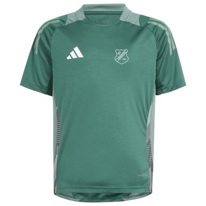 SV Parkstein 1946 Trainingstrikot 2025/2026