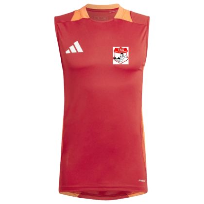 TSG Burg Lichtenberg Trainingstrikot 2024/2025