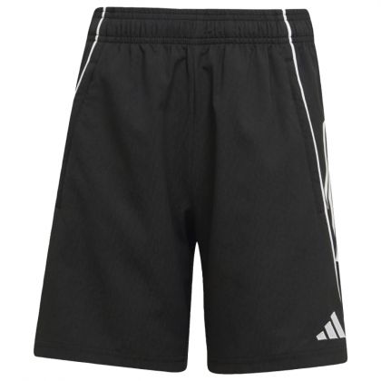 Flechtinger SV DT Trainingsshorts 2025/2026