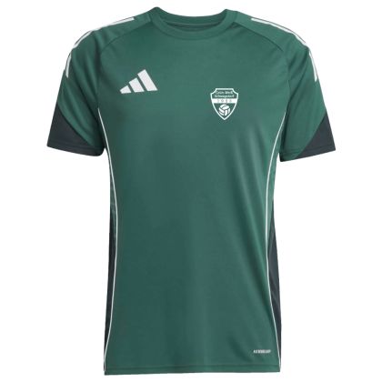 Grün-Weiß Schwagstorf Fußball Trikot 2025/2026