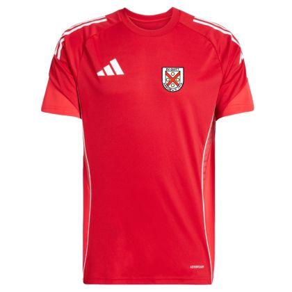 Quitt Ankum Fußball Trikot 2025/2026