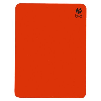 Badischer FV 2024/2025