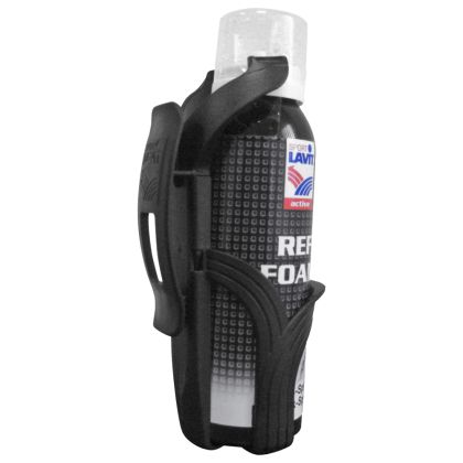 Badischer FV 2024/2025