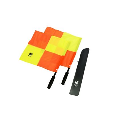 Badischer FV 2024/2025