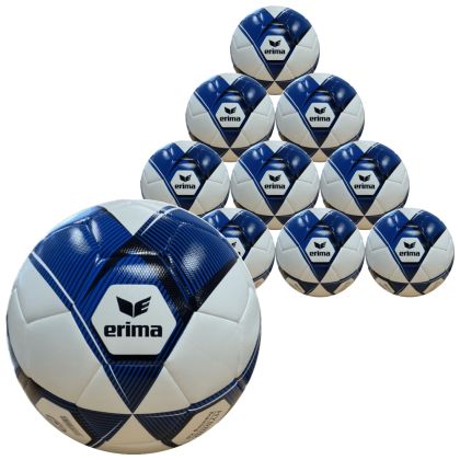 Erima 10er Ballpaket HYBRID Training ATS