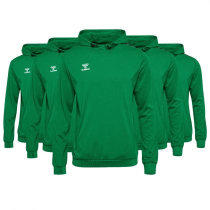 Hummel Hoody Set Authentic