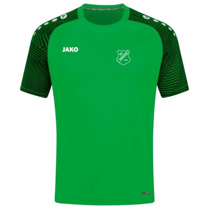 SV Parkstein 1946 T-Shirt 2025/2026