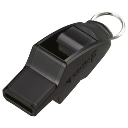 Badischer FV 2024/2025