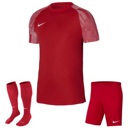 Nike Trikotsatz Academy 22