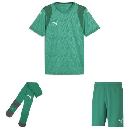 Puma teamCUP Trikotsatz