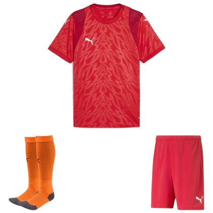 Puma teamCUP Trikotsatz