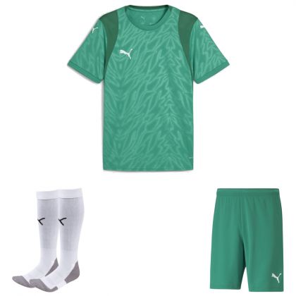 Puma teamCUP Trikotsatz