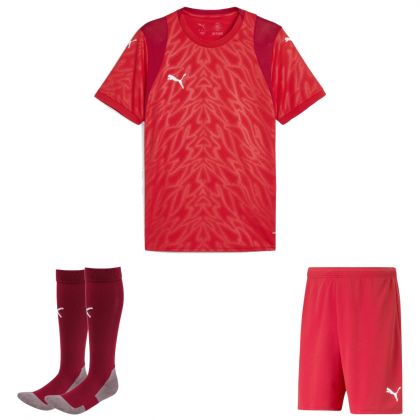 Puma teamCUP Trikotsatz