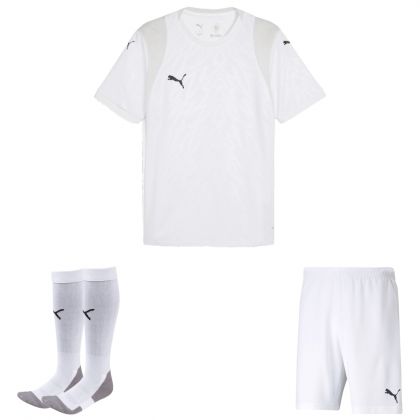 Puma teamCUP Trikotsatz