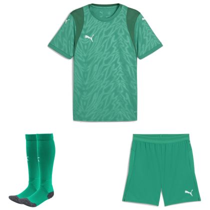 Puma teamCUP Trikotsatz