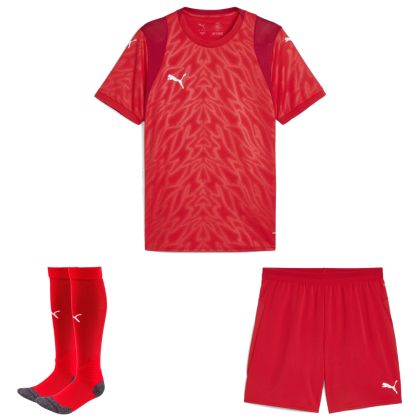 Puma teamCUP Trikotsatz