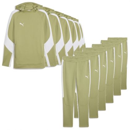 Puma teamEvostripe Sweatsanzug Satz