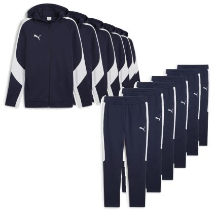 Puma teamEvostripe Sweatsanzug Satz